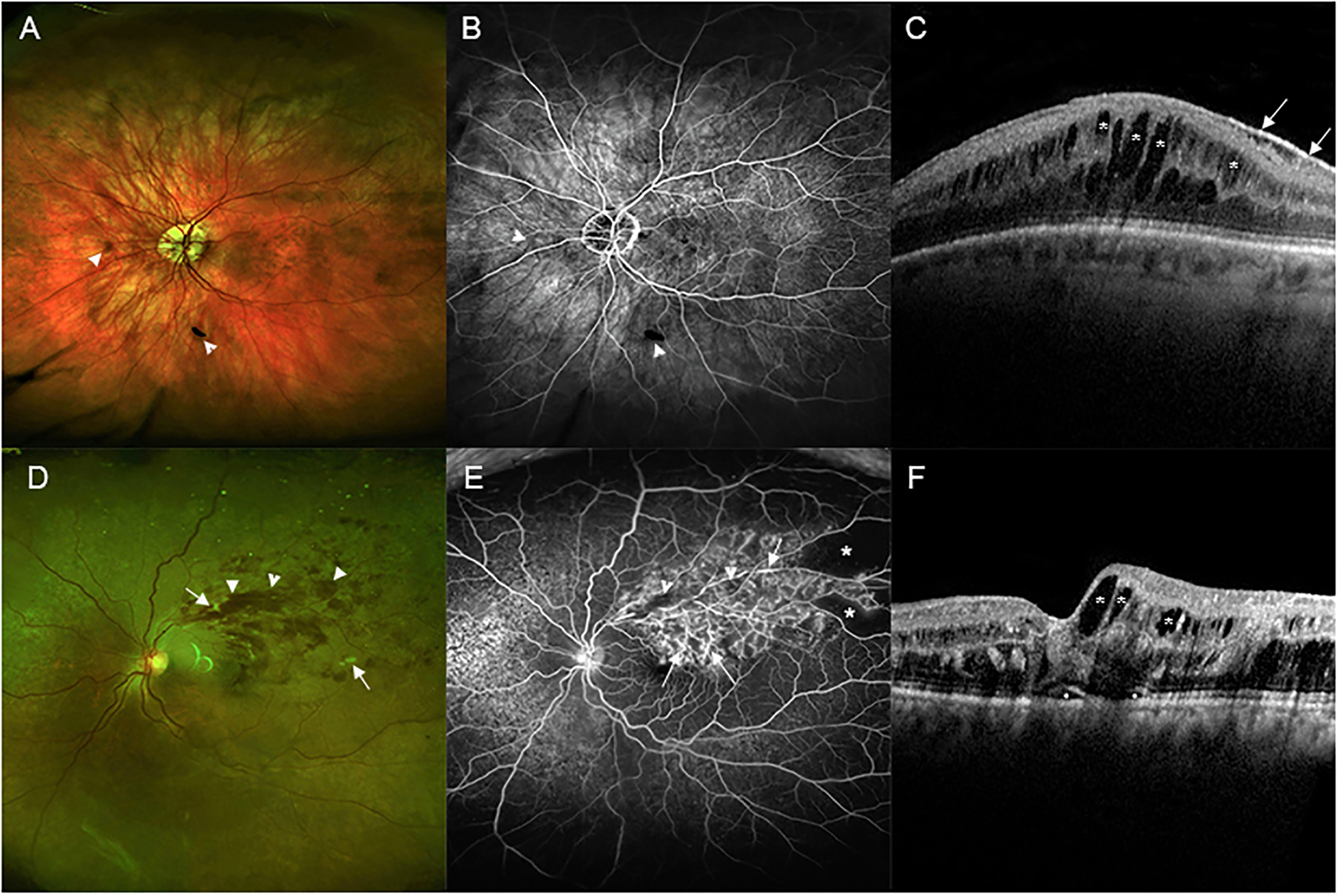 Figure 4: