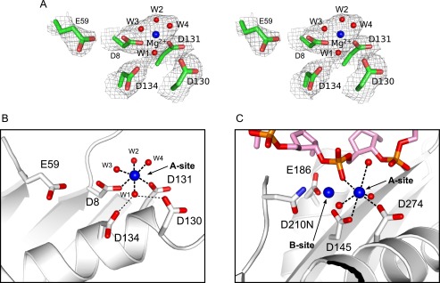 FIGURE 4.