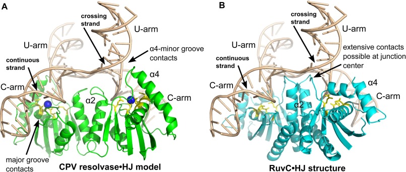 FIGURE 7.