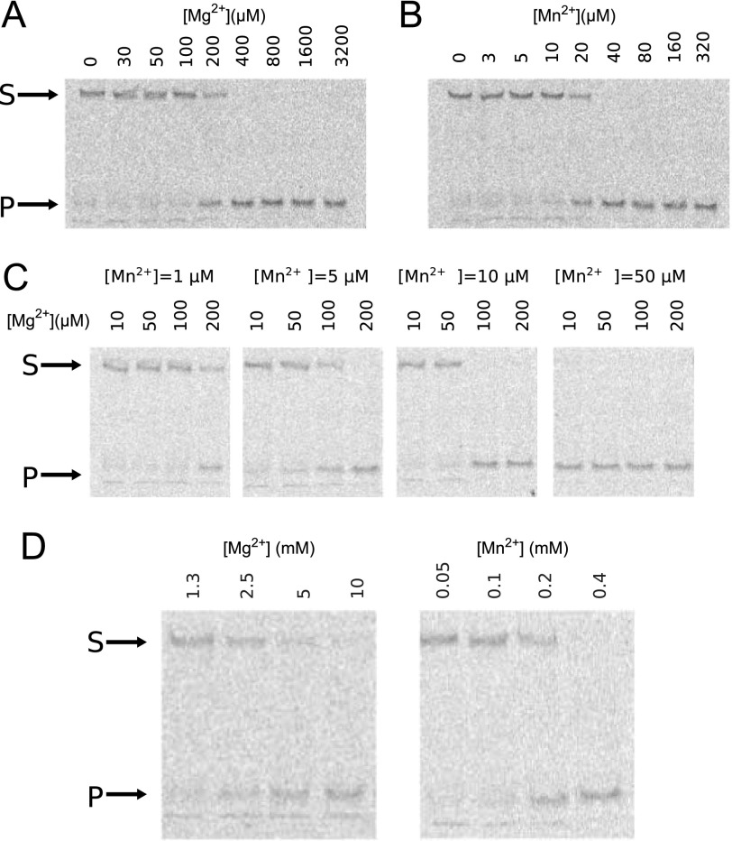 FIGURE 6.