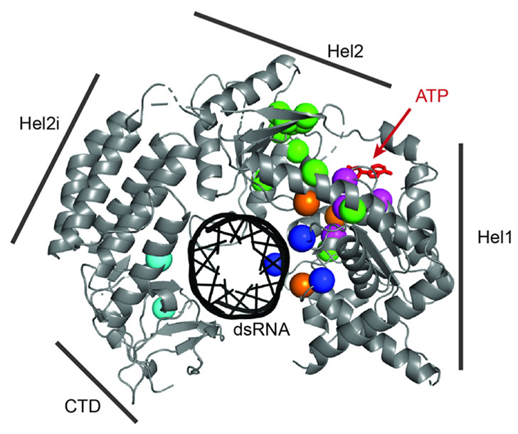 FIGURE 3