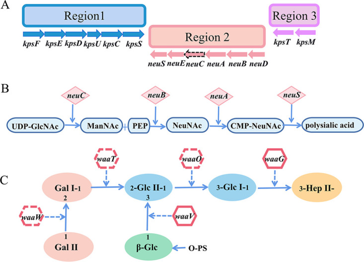 FIG 1