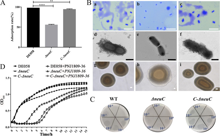 FIG 3