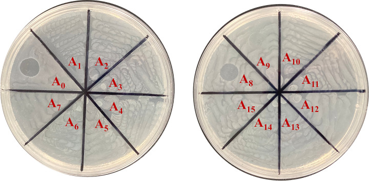 FIG 2