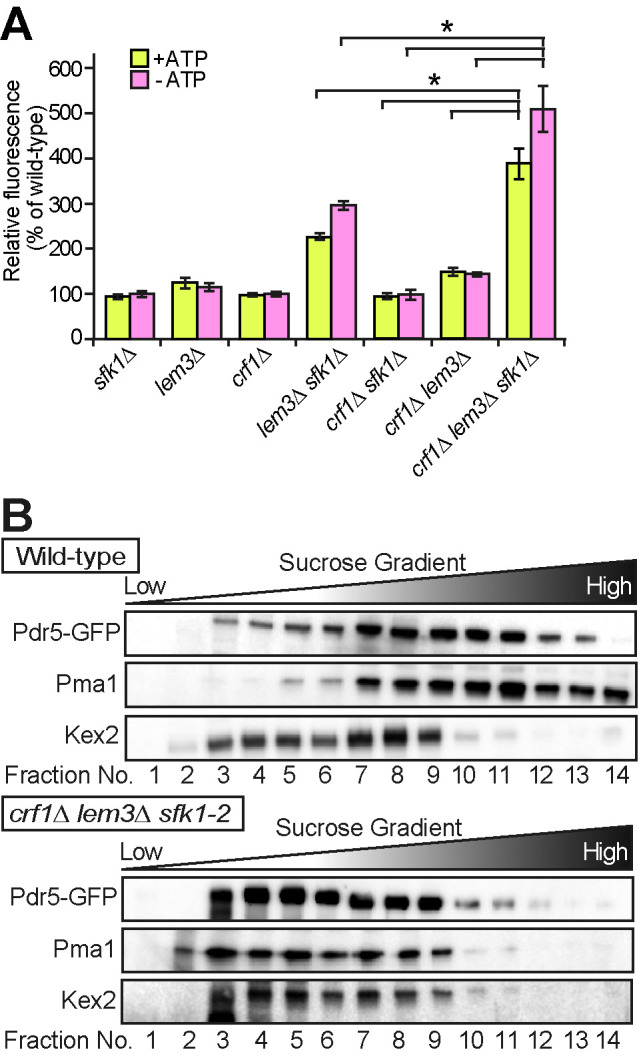 FIGURE 3: