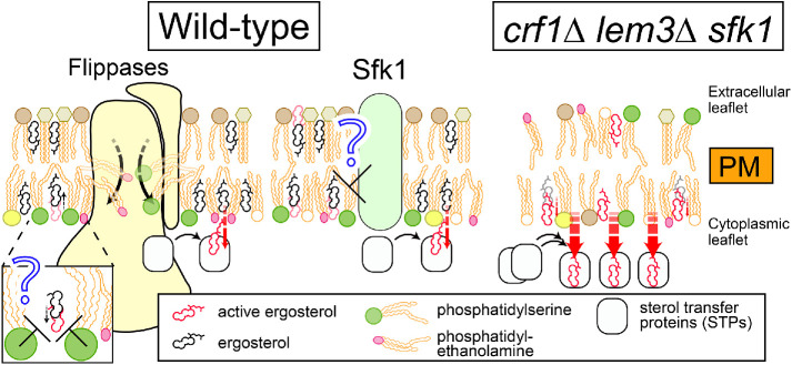 FIGURE 10: