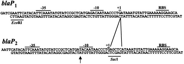 graphic file with name cde482f8.jpg