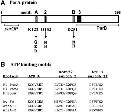 graphic file with name cde482f1.jpg