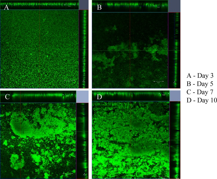 FIG 3