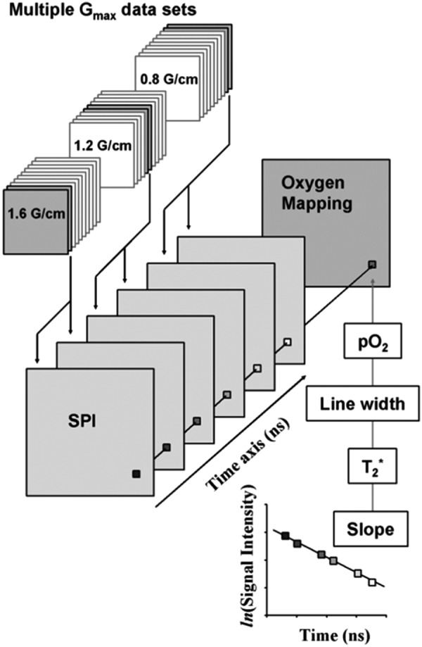 FIG. 3.