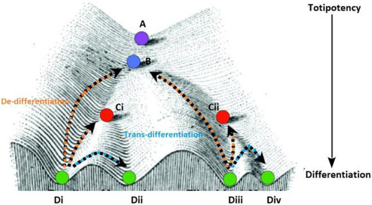 FIGURE 3