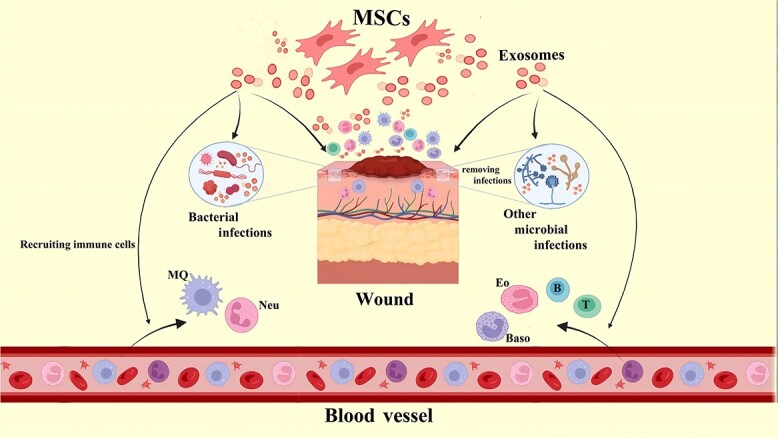 Graphical Abstract