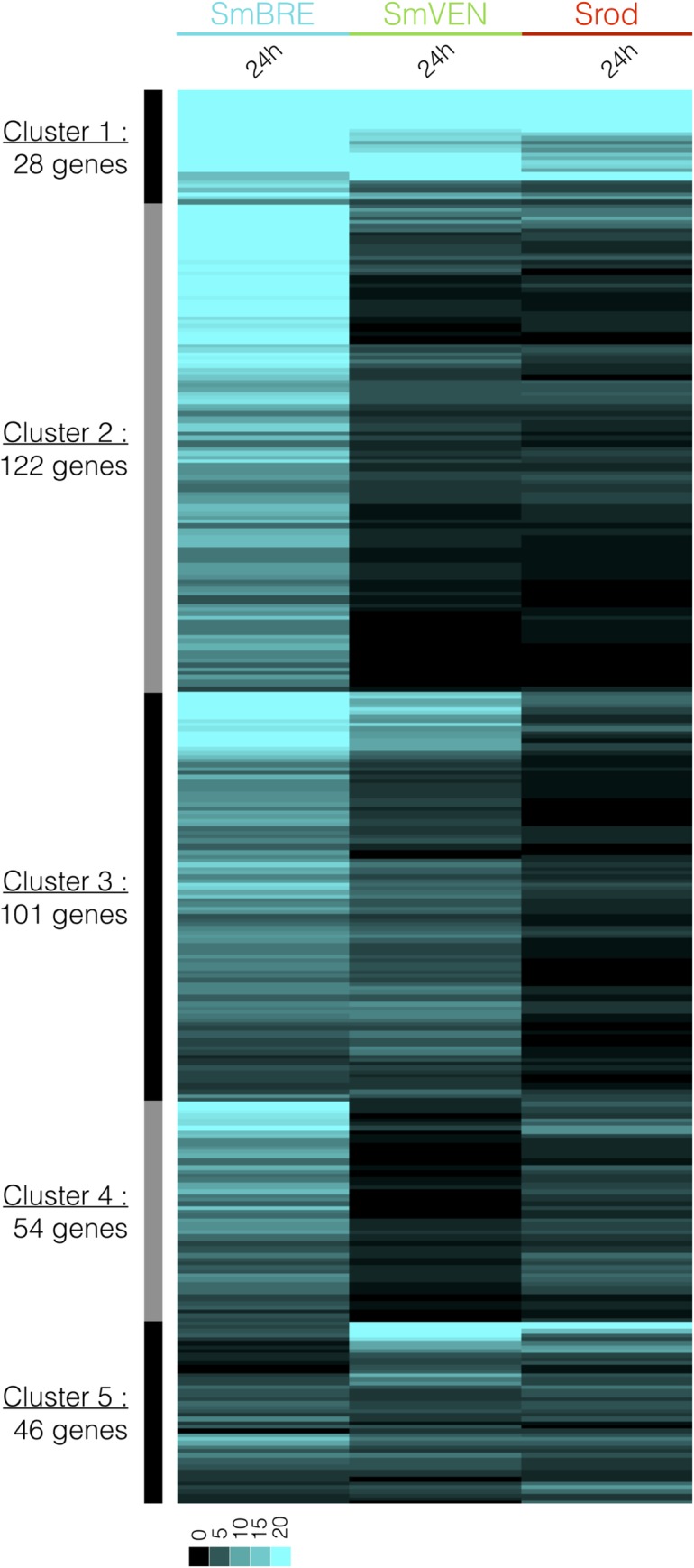 Fig 6