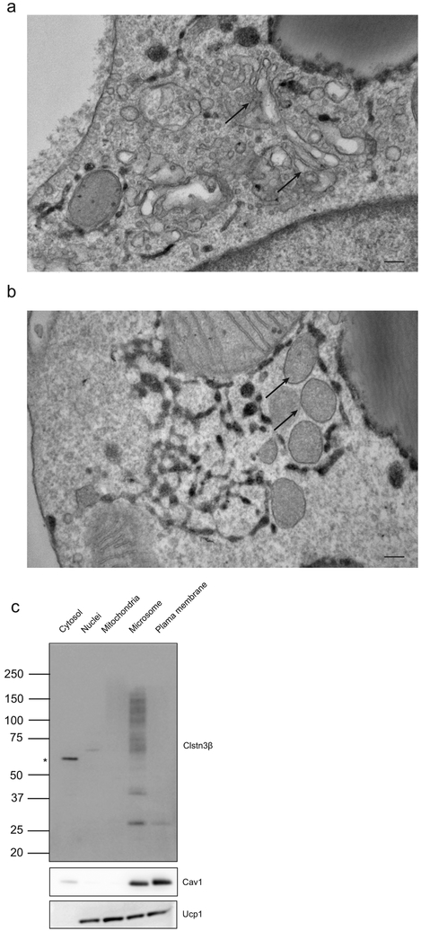 Extended Data Fig. 5.