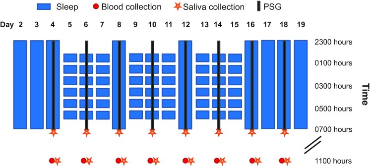 Fig. 1.