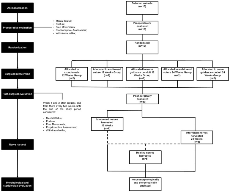 Figure 11