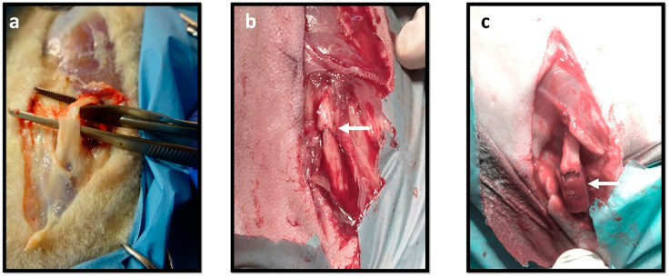 Figure 13