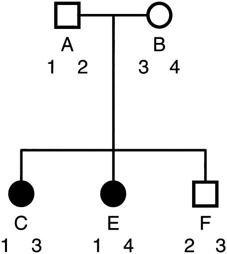 Figure  1