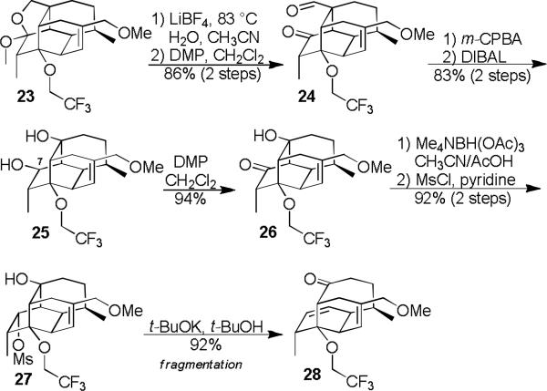 Scheme 3