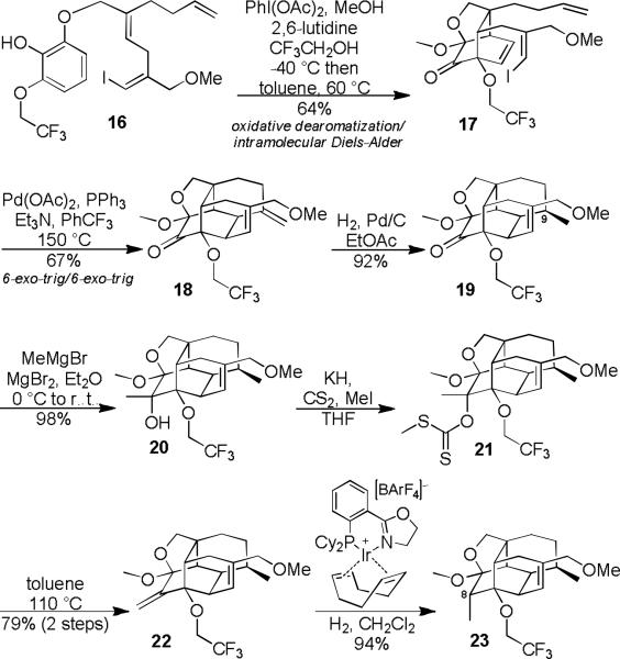 Scheme 2