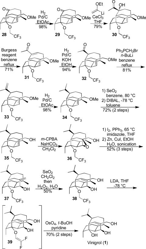 Scheme 4