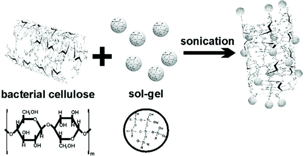 Figure 9.