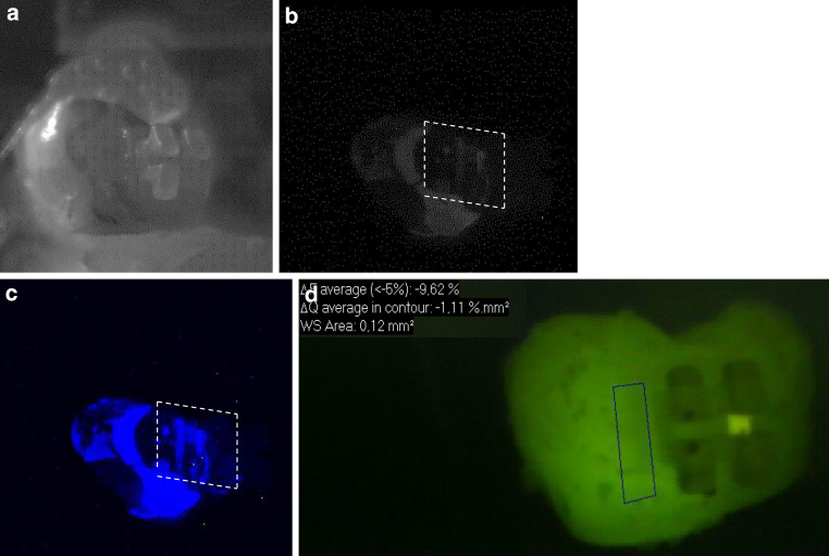 Fig. 3