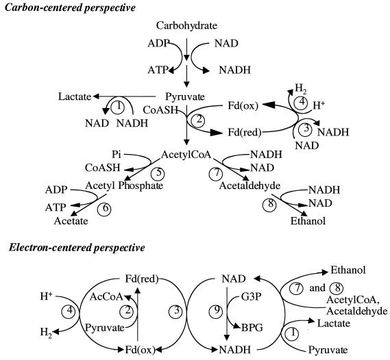 FIG. 7.