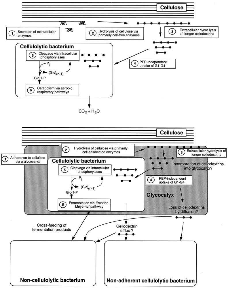 FIG. 2.