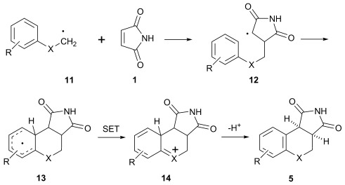 Scheme 4