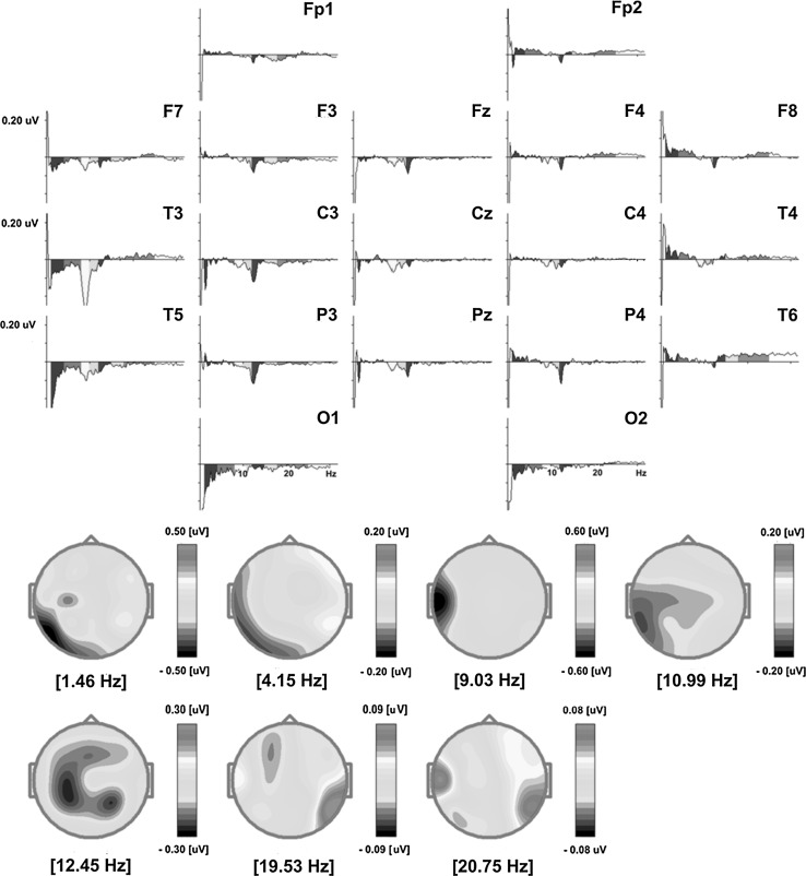 Fig. 5