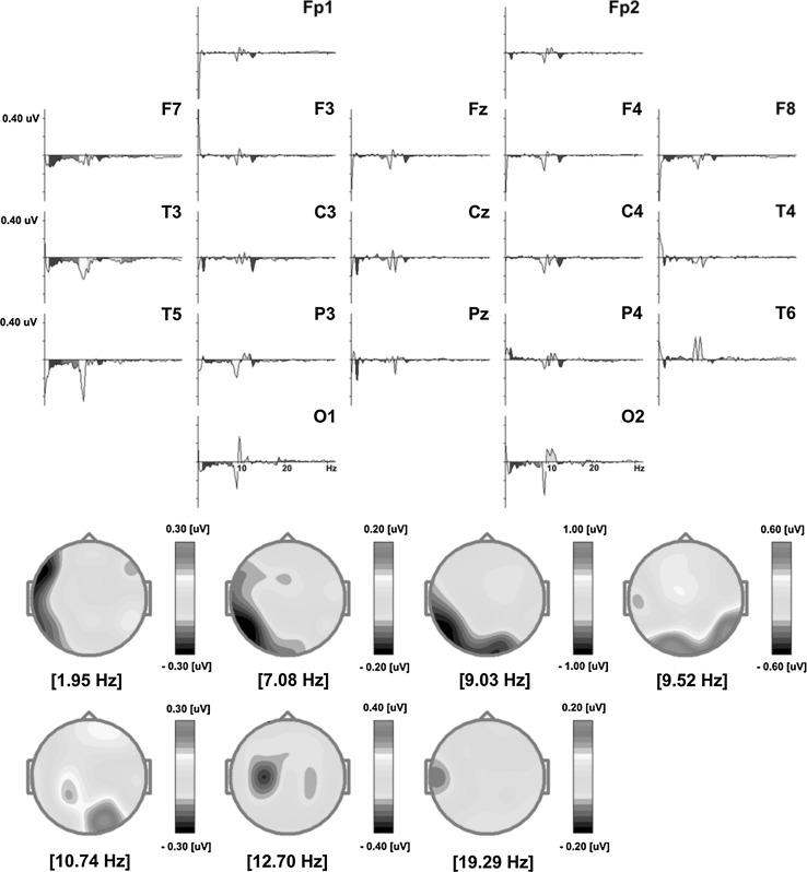 Fig. 7