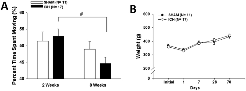 Fig. 1 –