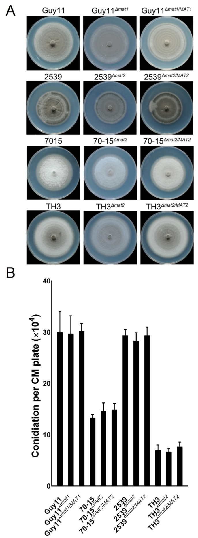 Figure 6