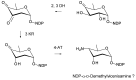Figure 26