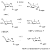 Figure 29
