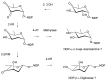 Figure 31