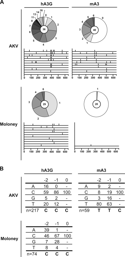 FIG. 3.