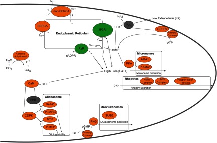 Fig. 3.