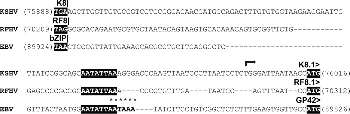 Fig 10