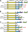 Fig 12