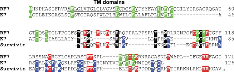 Fig 5