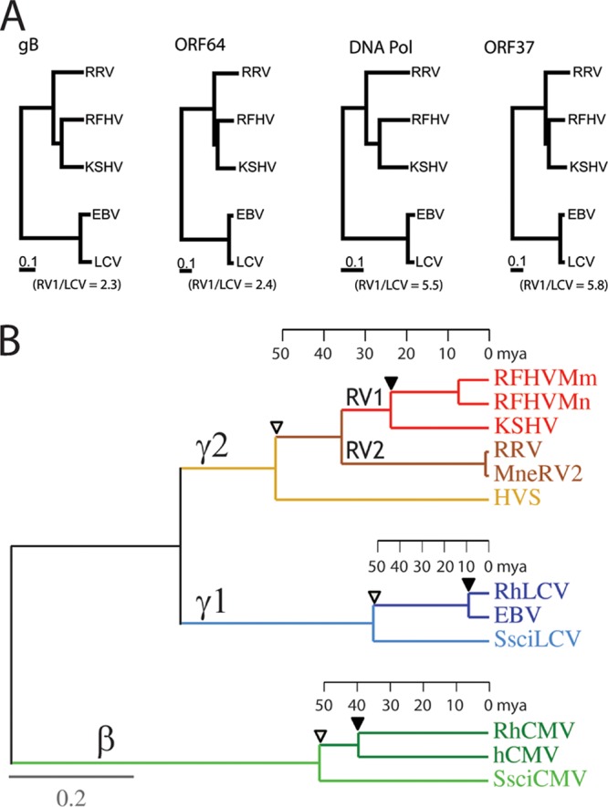 Fig 13