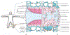 Fig. 1.