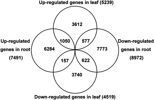 Figure 5.