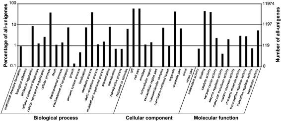 Figure 3.