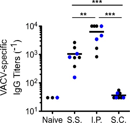 FIG 2