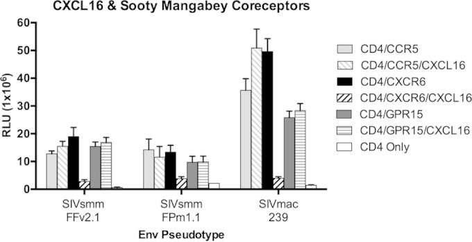 FIG 4