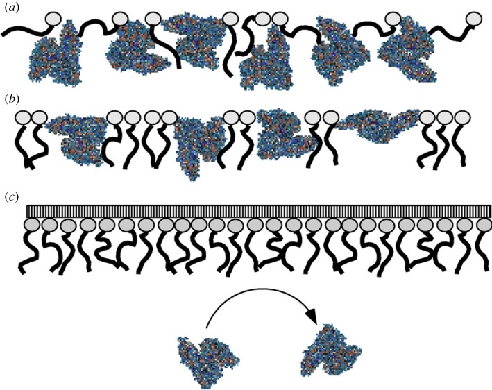 Figure 7.