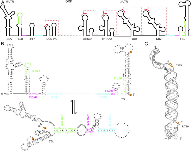 Fig. 2.